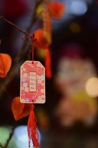 cần tránh đặt quá nhiều cửa